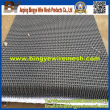 Stainless Steel Crimped Wire Mesh (factory)